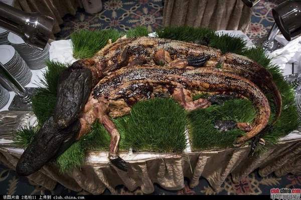 实拍美国探险家俱乐部年度晚宴 烤鳄鱼油炸蟑螂|晚宴|俱乐部_凤凰资讯