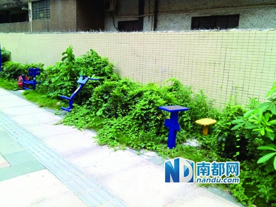 泛亚电竞那些受伤的健身器材(图1)