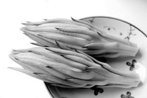 快报君带你吃不一样的火龙果|火龙果|花期