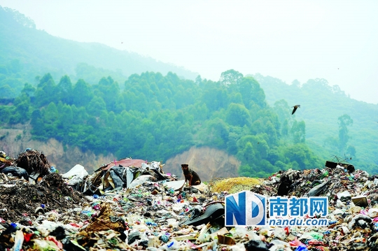大岭山旧飞鹅垃圾填埋场,远处山头被掘土覆盖垃圾,黄色土壤裸露在外。南都记者 梁清 摄