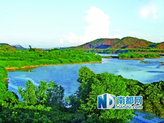 大亚湾河道一角