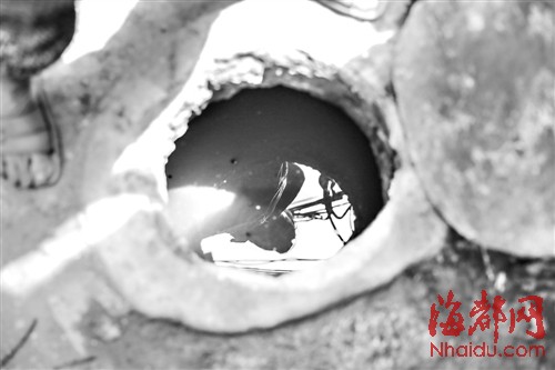 直径不到40厘米的化粪池