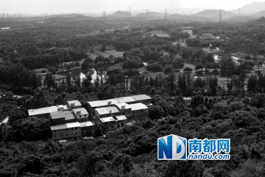 仙岗村人口_仙岗村的丹钵