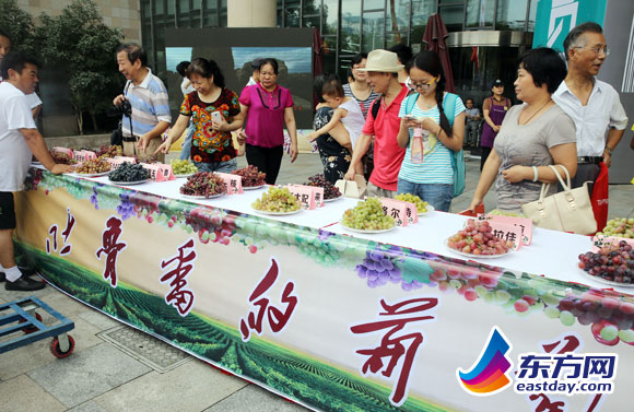 活动现场展示近百种葡萄，吸引上海市民驻足。
