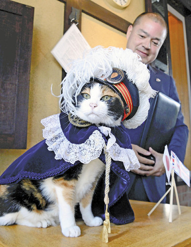 日本猫站长小玉会见英国驻大阪总领事。