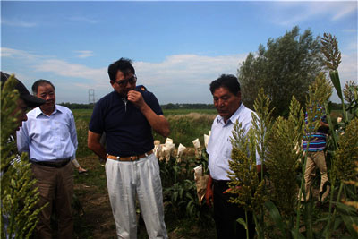 驻加拿大大使罗照辉访问加AERC农场|农业科技