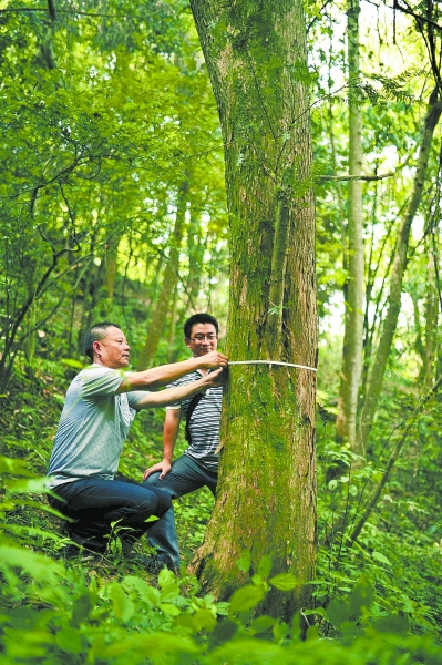 (8月27日，高铁长沙南站沪昆 站场。　本报记者谢长贵摄)