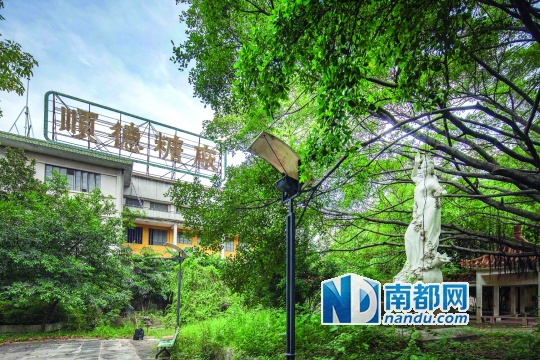 顺德糖厂:时代更迭下的老工业背影|顺德|顺德人_凤凰资讯