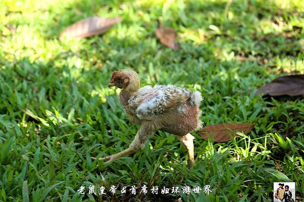印第安小镇上的潮女郎 - 无声雨 - 无声雨 印第安小镇上的潮女郎 - 无声雨 - 无声雨