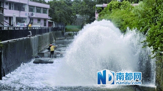 新圳河补水工程现场。