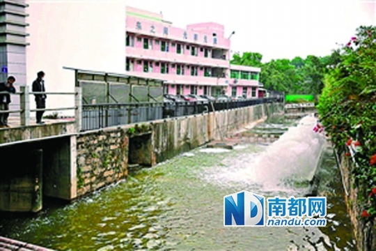 新圳河通水试运行后,河道喷涌出干净的水。