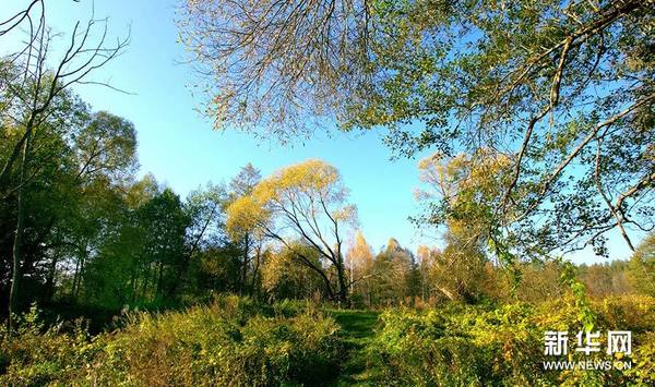 明斯克天气_奥廖克明斯克天气_白俄罗斯明斯