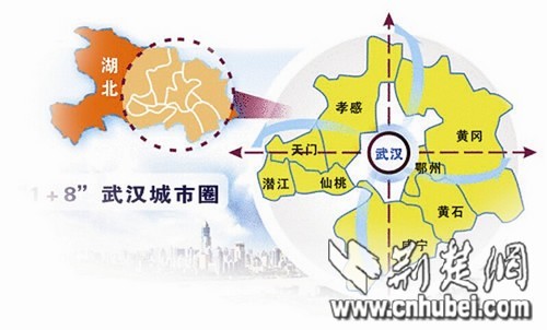 城市人口结构_武汉城市圈 人口