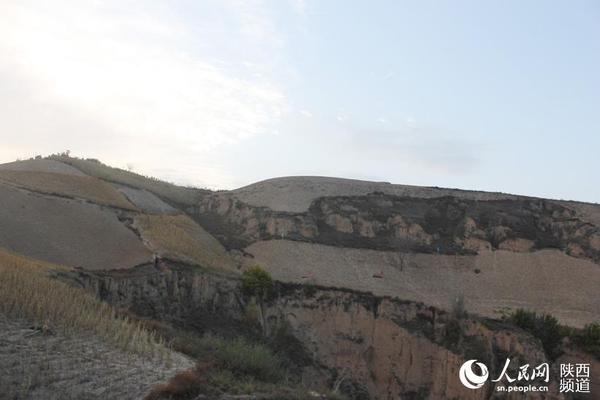 ɽسṉ峨巢һȺ14ҤĿǰȫ¡ͼв촦Ҥڷλ߸/