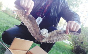 马洪斌在辖区巡逻时捡到一只受伤的小鸟。