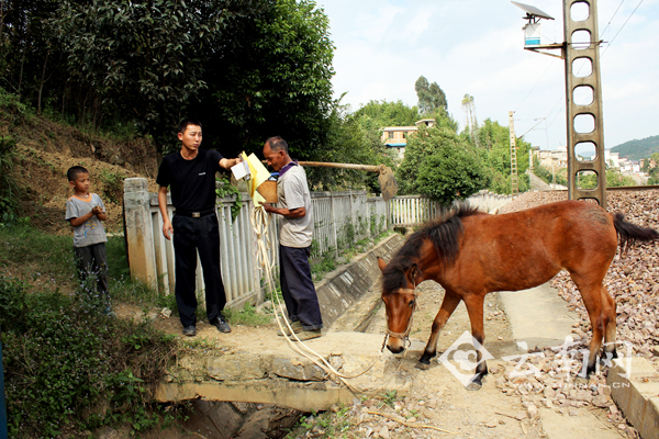 宜良北所民警正在线路重点部位开展安全宣传与引导
