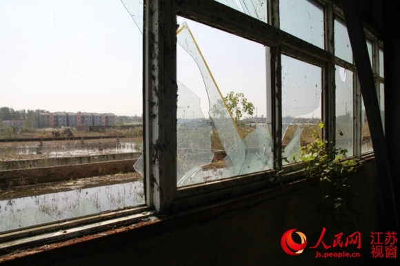 宁江工业园区内一幢多年无人管理的废弃厂区,厂房外的土地因常年积水成了一片沼泽