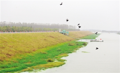 　　南淝河入巢湖处的沿河大坝用渣土堆砌