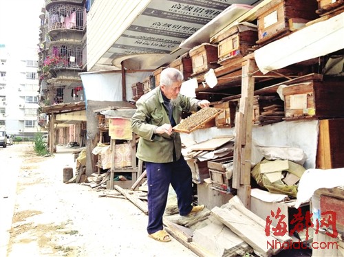 　　小區(qū)里二十多箱蜜蜂是李依伯主要的生計(jì)來源