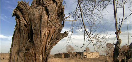 大河沿（网络截图）