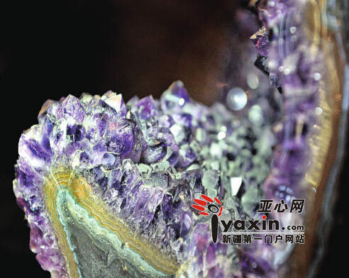 从剖开的横截面上可以看到颗粒巨大的紫色水晶,晶莹剔透。亚心网记者张万德 摄
