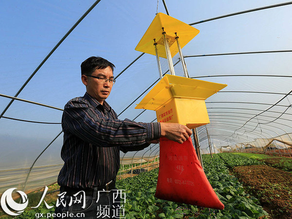柳城太平人口_柳城太平图片