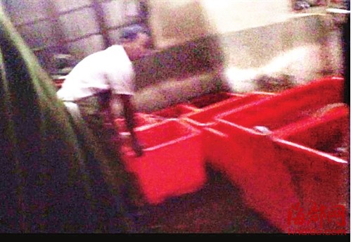 黑暗的房间里放着多个塑料桶，其中一个装着4条娃娃鱼