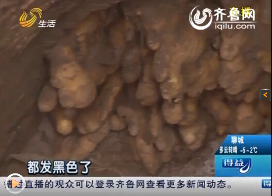 怎么种生姜视频 7f70cf04-93f3-494d-bc14-a69f742fa3ad.jpg