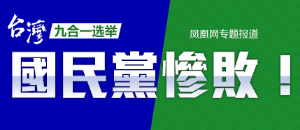 2014台湾九合一选举