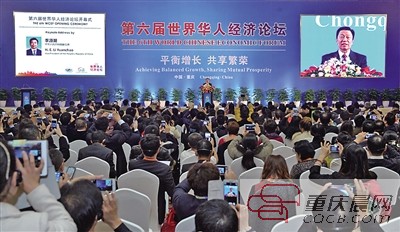 经济论坛_...015阜阳高峰经济论坛上说了啥(3)