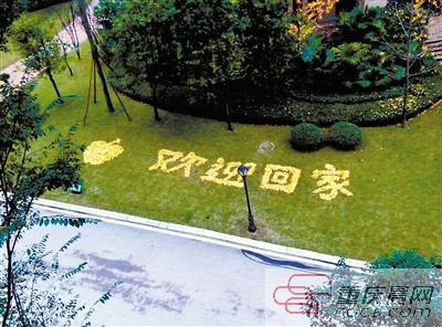 廊桥水乡的邻居,欢迎回家.