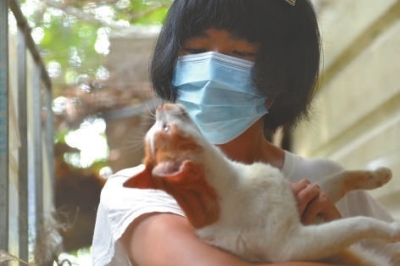 ②志愿者怀抱流浪猫。