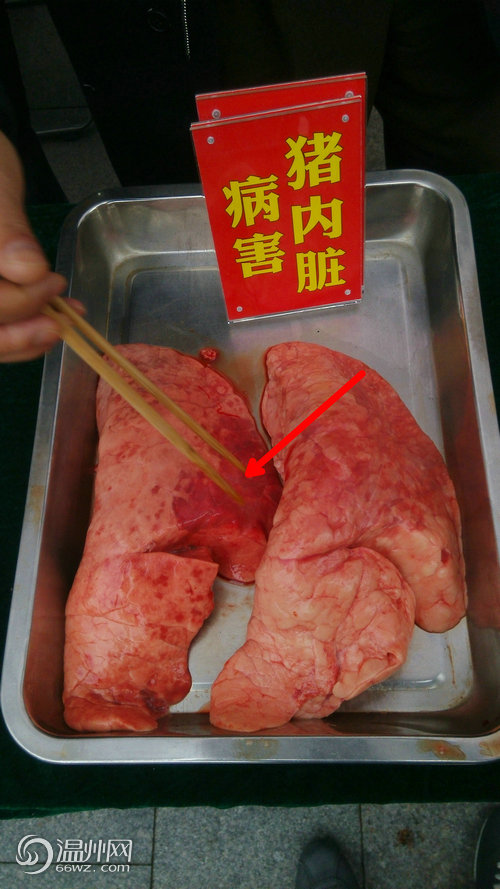美食肉500_889竖版竖屏马六甲地方美食图片