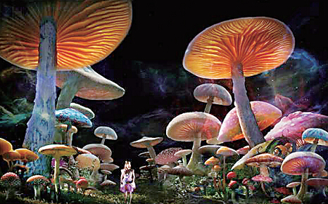 中国首部大型裸眼3D魔幻童话剧将登陆乌鲁木