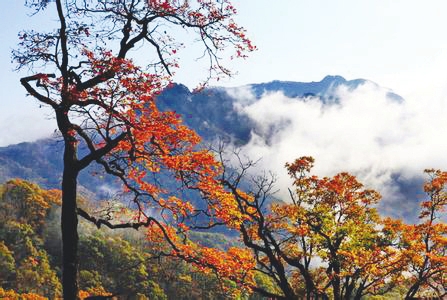 逍遥马鬃岭