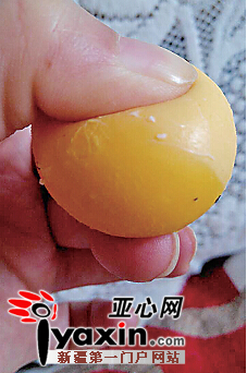 12月17日，楚女士用力按压早餐时煮鸡蛋的蛋黄，蛋黄没有散。图由当事人提供