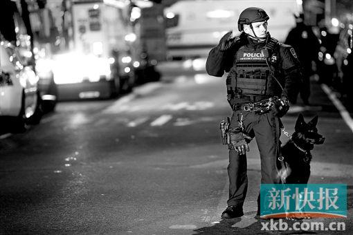 ■事发后,一名警察带着警犬在附近巡逻。CFP供图