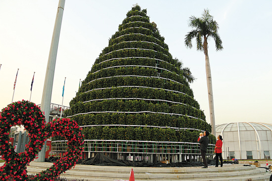 到陈村花卉世界|音乐|乐器