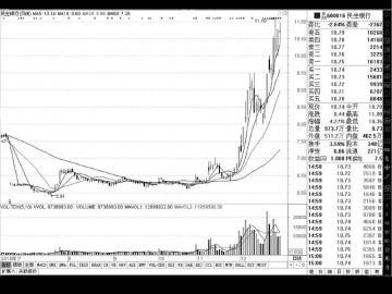 再举牌民生银行 安邦保险持股达 15%|股份|普通