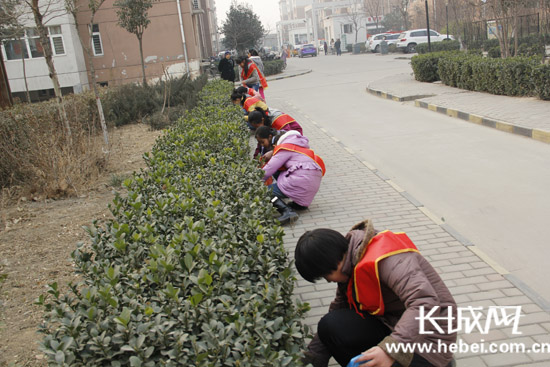 创建文明城市 小学生志愿者进社区捡拾垃圾护