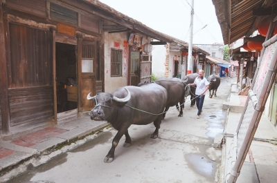 古月港繁华街区“帆巷”