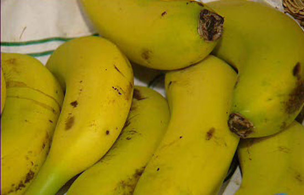 /哥伦比亚贩毒组织用装香蕉的船贩运毒品(图)