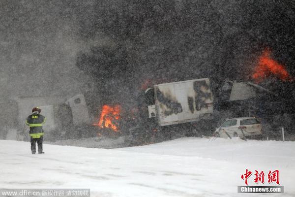 美国密歇根州大雪致车辆连环相撞 引发大火和爆炸(图)