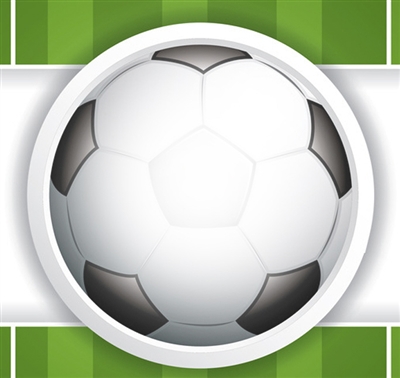 中国足球改革总体方案出炉|足球|职业俱乐部