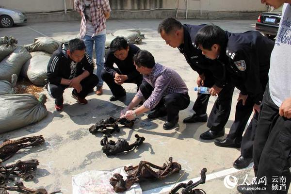 云南查获疑似猴类尸体52具 嫌疑人被刑拘(图)
