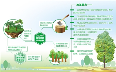 国家林业局局长赵树丛:国有林业改革如何扎实