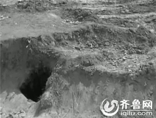 图片版权归原作者所有