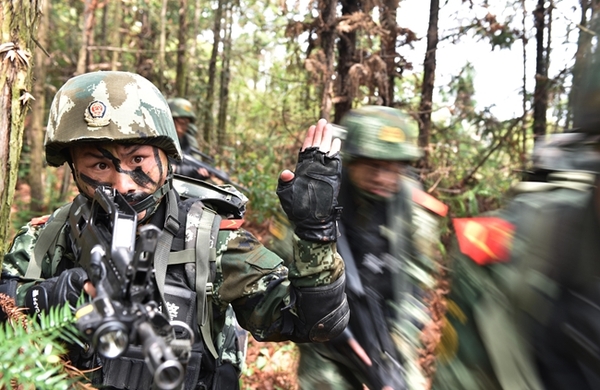 武警特战队员密林苦练砺精兵