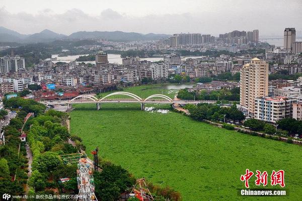 广东惠州水浮莲成灾