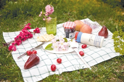 野餐正当“食”|野餐|野炊_凤凰资讯